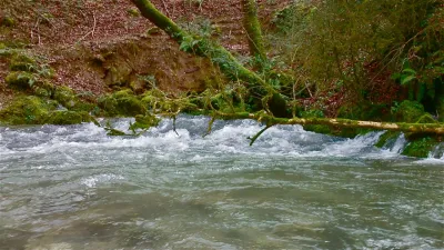 La résurgence. A partir de là, la rivière change de configuration et on se retrouve dans l'ambiance du Liers (avis personnel)
